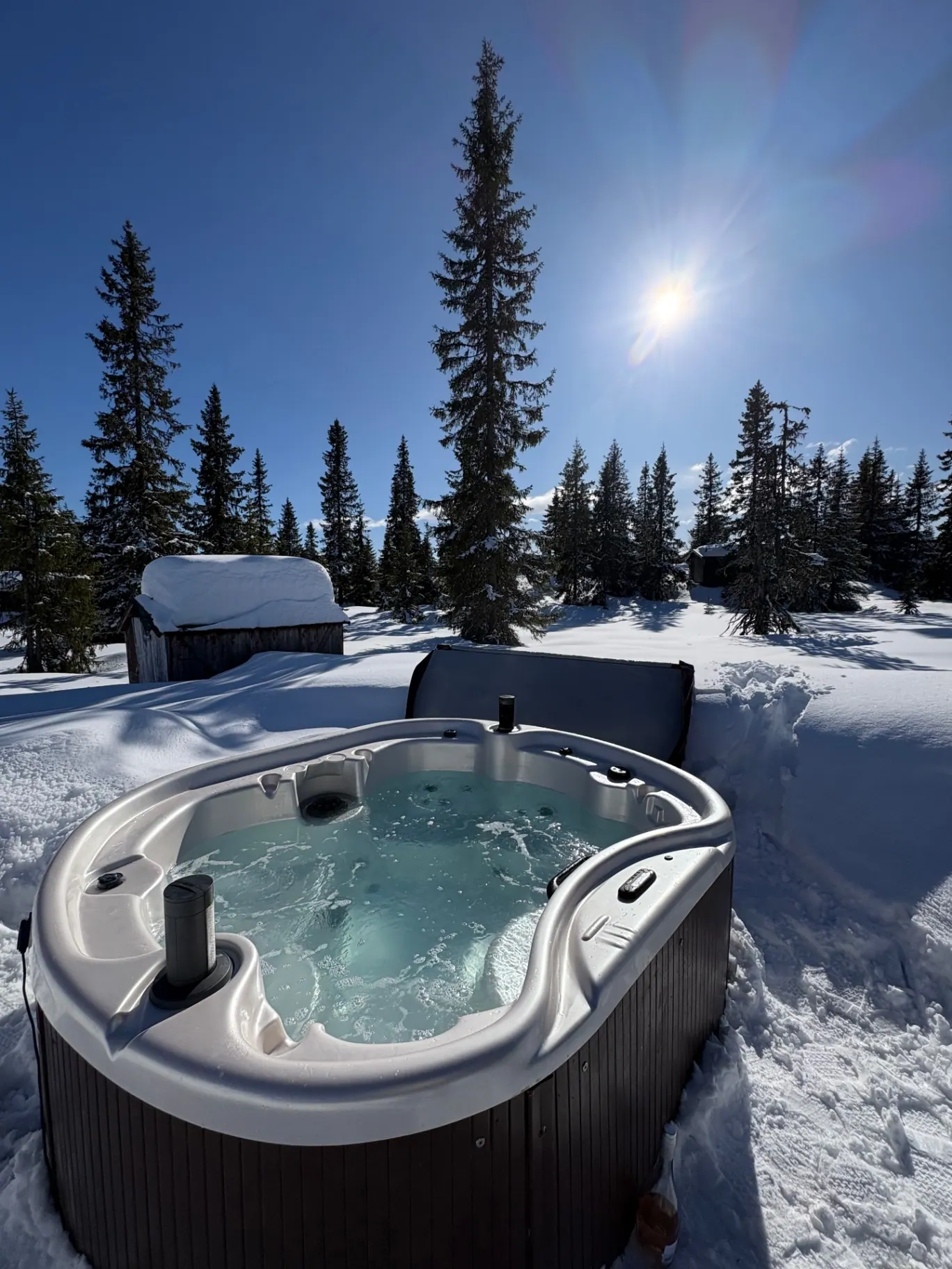 Jacuzzi under åpen himmel med utsikt over furuskogen